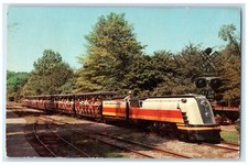 c1960 Miniature Railroad Intramural Detroit Zoo Detroit Michigan Posted Postcard picture