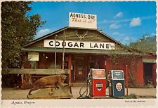 Agness Oregon Rogue River Gas Station Siskiyou Nat Forest 6x4 Postcard c1970 picture