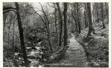 Dolgelley Wales Torrent Walk OLD PHOTO picture