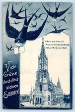 Germany Postcard Greetings from Ulm a.D Munster in Ulm Tallest Church 1907 picture