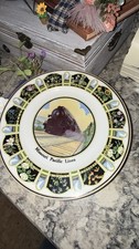 Vintage Syracuse China Missouri Pacific Lines State Flowers Railroad Plate  picture