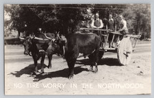 Northwoods Ox Cart No Tire Worry Vintage RPPC Postcard picture