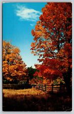 Postcard Michigan Drummond Island Autumn 8J picture