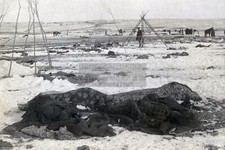 AFTERMATH OF THE WOUNDED KNEE MASSACRE NATIVE AMERICAN 4X6 PHOTO POSTCARD picture