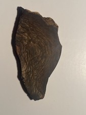 Biggs Deschutes Picture Jasper Slab Oregon Polished 28g picture