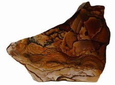 Deschutes Picture Jasper 31gm Scenic Lapidary Slab picture