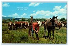 c1960's Cowboy Repairing Fence As Whiteface Cattle Graze Oklahoma OK Postcard picture