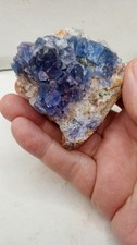 Deep Blue Fluorite ~ Legendary Blanchard Mine ~ New Mexico ~ picture