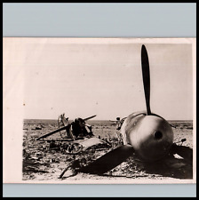 LIBYA WWII WRECKAGE GERMAN PLANE Luftwaffe 1942 ORIGINAL PHOTO 400 picture
