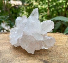 165g Natural Himalayan Quartz White Pointed Cluster Crystal Healing Raw Specimen picture