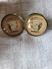 Bridle Rosette's Kansas City Stockyards Hereford  2 in brass and glass picture