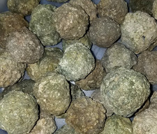 (1-LB LOT)=(10 to 16 Uncut Rough Oregon Thundereggs) Lapidary Agate Rocks Geode picture
