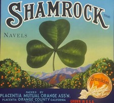 Antique 1930s Shamrock Sunkist Crate Label, Placentia, Orange County, CA picture