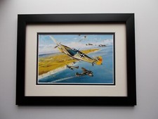 AIRCRAFT PRINT FRAMED - STEINHOFF TRIBUTE BY ROBERT TAYLOR picture