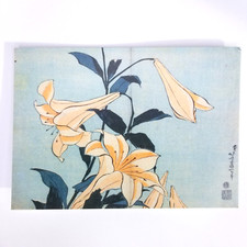 Katsushika Hokusai Japan Lilies Colour Woodblock Print POSTCARD Blue 4 In x6 In picture