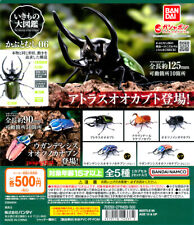 The Diversity of Life on Earth Beetle 6 Bandai Gashapon Toys set of 5 picture
