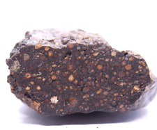 Meteorite ACFER 404 ( Provisional name ) CR2  CARBONACEOUS METEORITE 45.3 gram picture