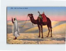 Postcard La Prière Au Desert Camel Desert Scene picture