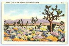 Postcard Joshua Palms Trees Southern California CA Posted Inglewood c.1942 picture