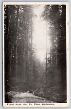 Forest Scene Near Cle Elum Washington WA Antique WB Postcard PM Cancel WOB Note picture