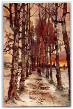 1908 A Happy Christmas To You Woodland Walks NY Oilette Tuck Art Postcard picture