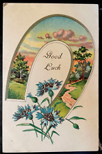 Vintage Victorian Postcard 1910 Good Luck - Horse Shoe with Flowers picture