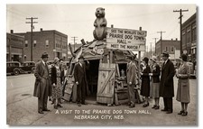 Vintage‑STYLE NEW ART 1930's RPPC-PRAIRIE DOG TOWN HALL-NEBRASKA CITY, NEB-FAUX picture