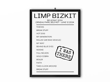 Limp Bizkit Belsonic 2024 Replica Setlist picture