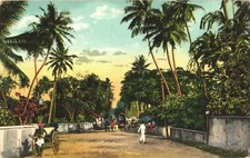 Colombo Ceylon Galle Road Street Scene Rickshaw Divided Back Postcard c1910 picture
