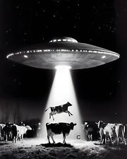 Nebraska Cattle Incident UFO 1974 Photo Flying Saucer Aliens Involvement 8X10 picture