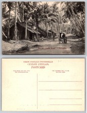 Galle Road Colombo Ceylon RPPC Vintage SKEES-PHOTO Palm Trees Cart picture