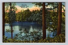 Macon GA-Georgia, Lakeside Park, Antique, Vintage Postcard picture