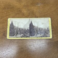 CALIFORNIA SV Yosemite Valley Ribbon Fall 1238 JP Soule 1870s Stereoview picture