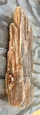 SUPERB* 3.5# Petrified Fossil Wood~Druzy~2 Knots~Knot Hole~Great Natural Shape picture