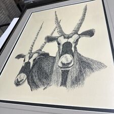 genuine vintage  Unusual B/W  print stunning ORYX Antelope M.  Morelock Art picture