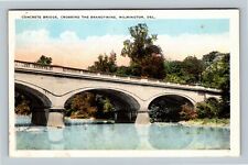 Wilmington DE, Concrete Bridge, Brandywine, Delaware Vintage Postcard picture