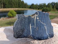 Beautiful Large Dark Color Tom Miner Basin, MT Petrified Wood Polished Slab #TM4 picture