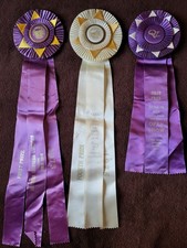West Coast Venues 1970's Horse Show Ribbons Awards Equestrian Events Southern C picture