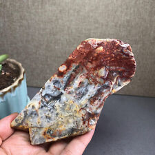 Top Pretty NATURAL POLISHED Ocean Jasper Slice From Madagascar 174g 120mm A2636 picture