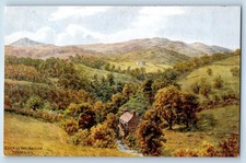 Dolgellau Gwynedd Wales Postcard Glen of the Arran Dolgelley c1910 Antique picture