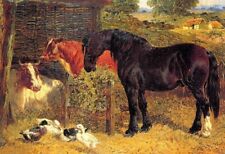 Art Oil painting John Frederick Herring Junior-stable companions horse art picture