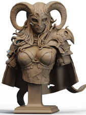 1:6 Warrior of the North Bust Fantasy UNPAINTED High Quality Garage Kit picture