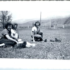 1946 Cute Kittens Cat Snapshot Photo Women Girl Mountain Western Ranch Pets Vtg picture