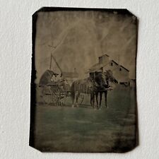 Antique Tintype Photograph Man Wagon Horse Barn Homestead Tinted Folk Art picture