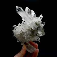5.9in 1.3lb Cosmic Starburst Record Keeper Lemurian Silver Quartz Chlorite Cryst picture