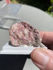 Rare Pink Clinozoisite W/display Box-Munde Alamos, Sonora, Mexico 35g picture