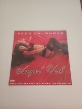 Angel Veil 2000 Wall Calendar 16 Month Sexy Adult Man Cave Unity Mark Thompson  picture