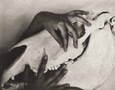 1930 GEORGIA O'KEEFFE Artist Hands On Skull ALFRED STIEGLITZ Photo Tritone 12x16 picture