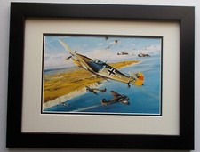 AIRCRAFT PRINT FRAMED - STEINHOFF TRIBUTE BY ROBERT TAYLOR picture