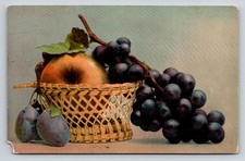 Vintage Lottie Saxony Still Life Postcard c1908 - Grapes Plums Basket Fruit picture
